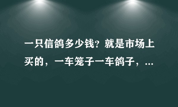 一只信鸽多少钱？就是市场上买的，一车笼子一车鸽子，普通的信鸽！普通的肉鸽多少钱？肉鸽可以训练成信鸽