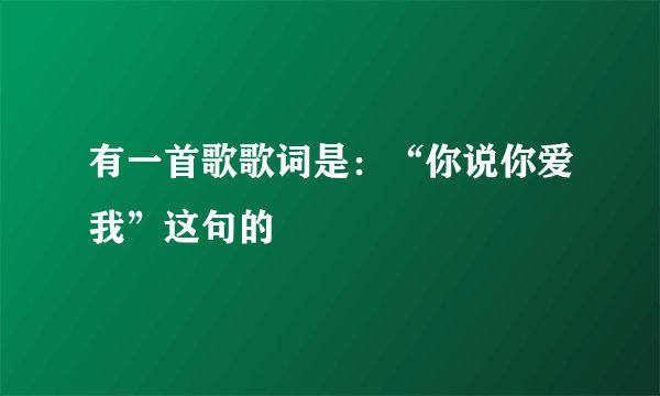 有一首歌歌词是:“你说你爱我”这句的