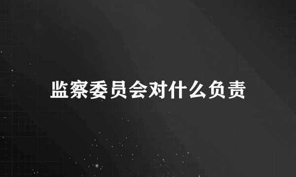 监察委员会对什么负责
