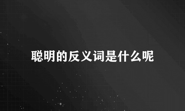 聪明的反义词是什么呢