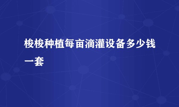 梭梭种植每亩滴灌设备多少钱一套