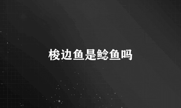 梭边鱼是鲶鱼吗