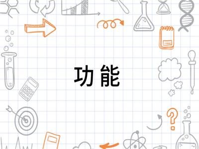 
功能什么意思

