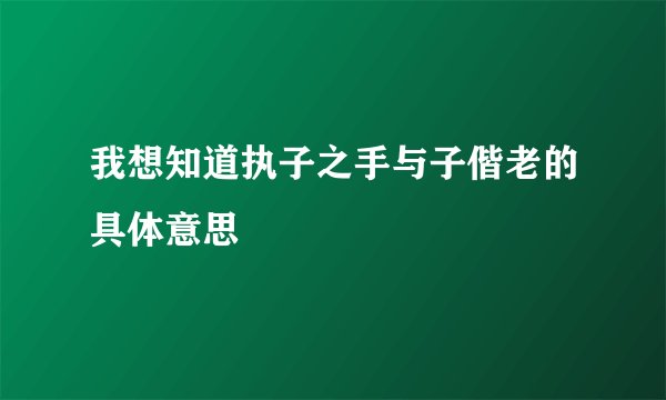 我想知道执子之手与子偕老的具体意思