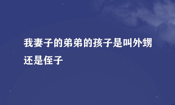 我妻子的弟弟的孩子是叫外甥还是侄子