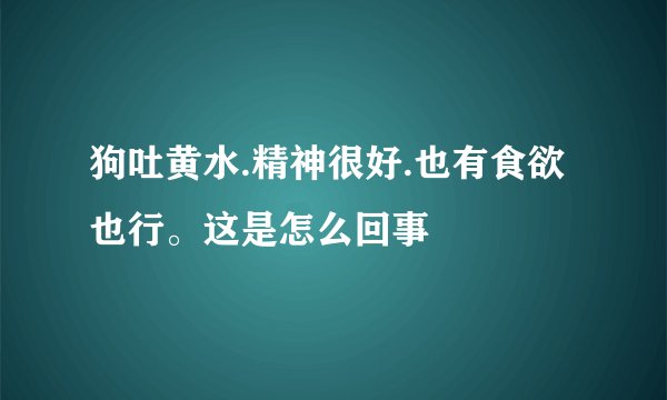 狗吐黄水.精神很好.也有食欲也行。这是怎么回事