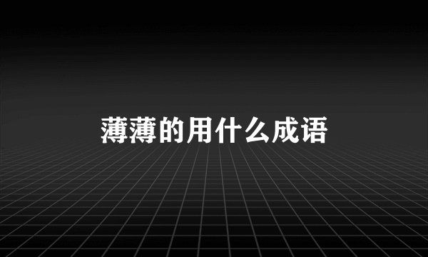 薄薄的用什么成语