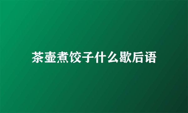 茶壶煮饺子什么歇后语