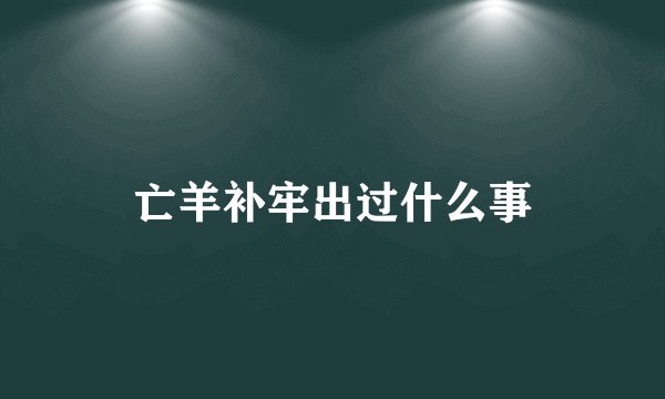 亡羊补牢出过什么事