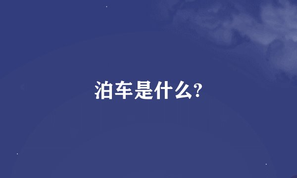 泊车是什么?