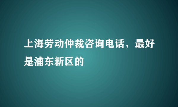 上海劳动仲裁咨询电话，最好是浦东新区的