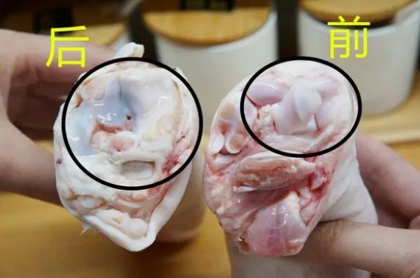 怎么区分猪前蹄和后蹄