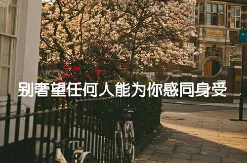 同感身受和感同身受的区别是什么？