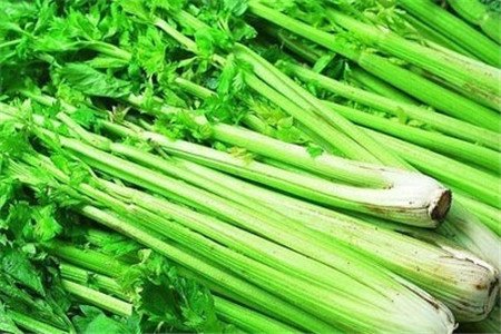 芹菜和香菜的区别是什么？