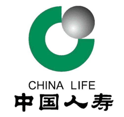 100元人寿意外险是什么保险(名称叫什么)。