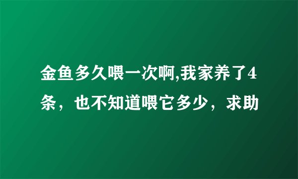 金鱼多久喂一次啊,我家养了4条，也不知道喂它多少，求助