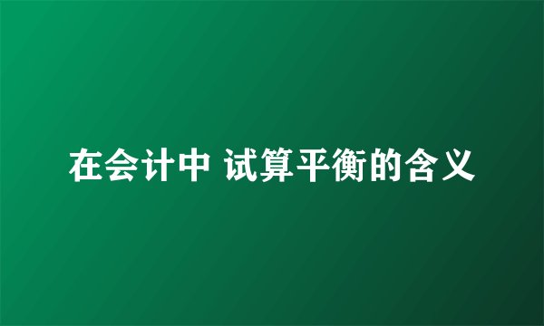 在会计中 试算平衡的含义