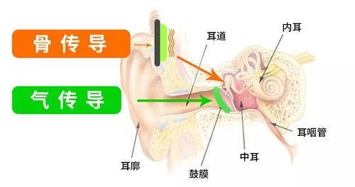 骨传导耳机会伤害大脑吗