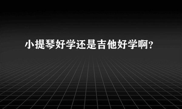小提琴好学还是吉他好学啊？
