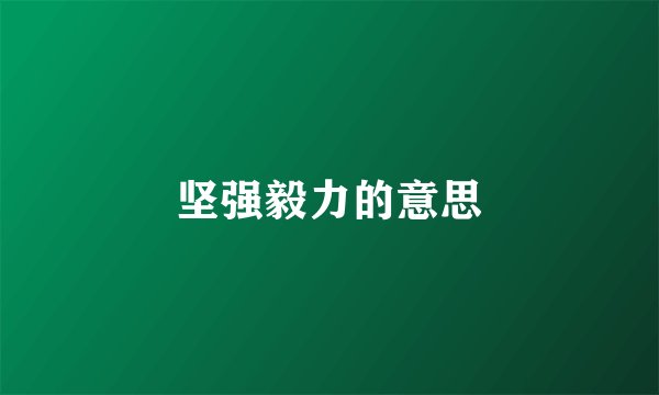 坚强毅力的意思