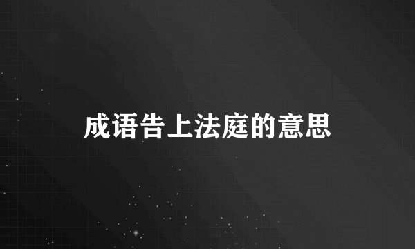 成语告上法庭的意思