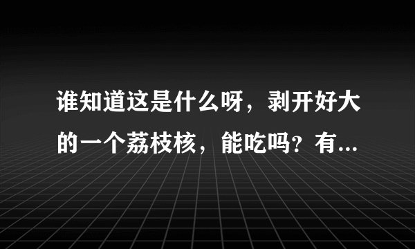 谁知道这是什么呀，剥开好大的一个荔枝核，能吃吗？有毒吗？（校园里的树上掉的）
