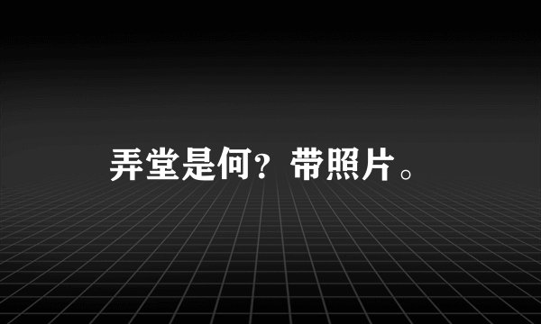 弄堂是何?带照片。