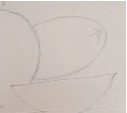 哈密瓜怎么画简笔画