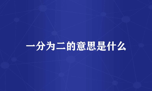 一分为二的意思是什么