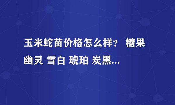 玉米蛇苗价格怎么样？ 糖果 幽灵 雪白 琥珀 炭黑 ？？？