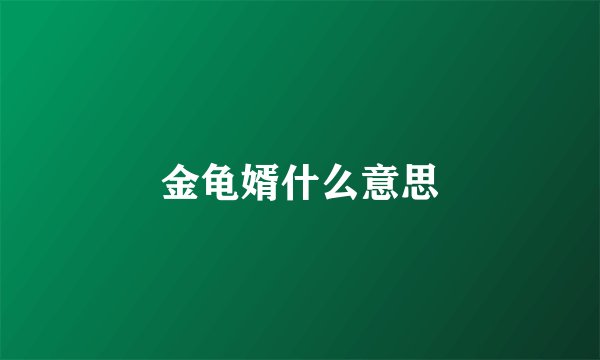 金龟婿什么意思