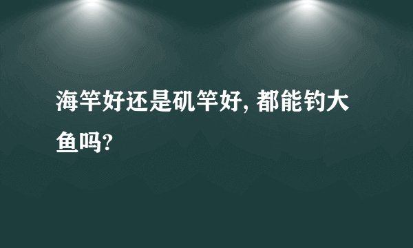 海竿好还是矶竿好, 都能钓大鱼吗?