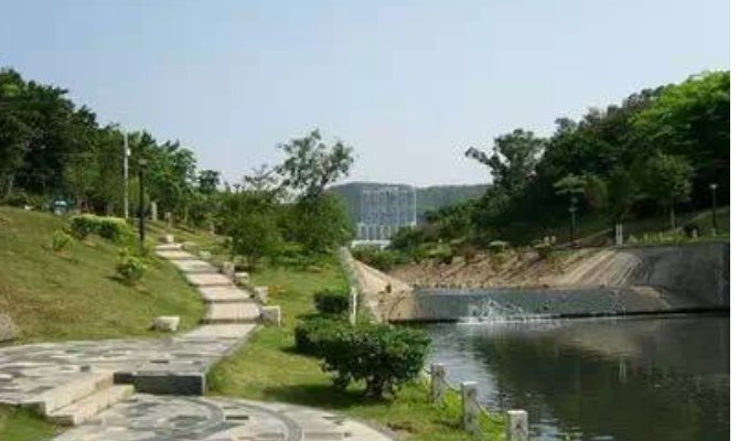 求深圳免费景点好玩排名,有哪些值得去?