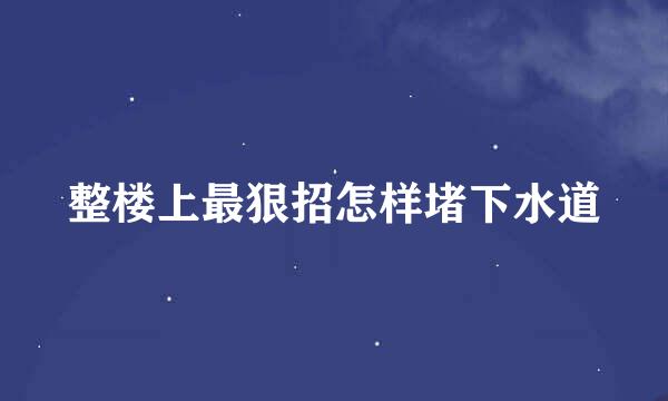 整楼上最狠招怎样堵下水道