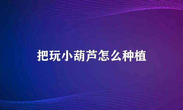 把玩小葫芦怎么种植