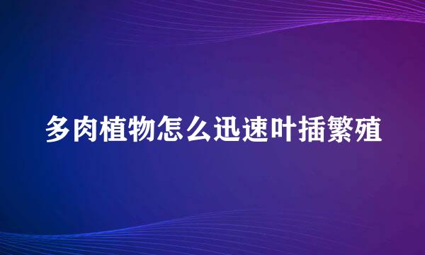 多肉植物怎么迅速叶插繁殖