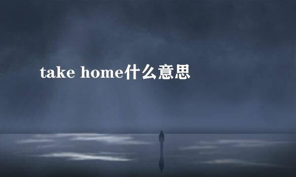 take home什么意思