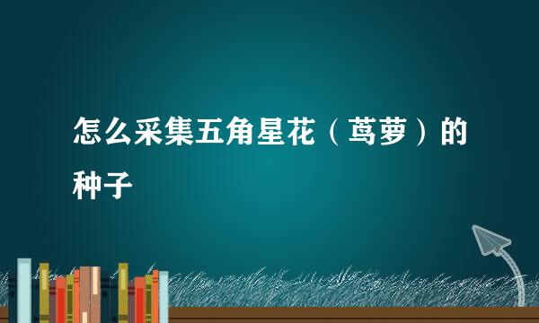 怎么采集五角星花(茑萝)的种子