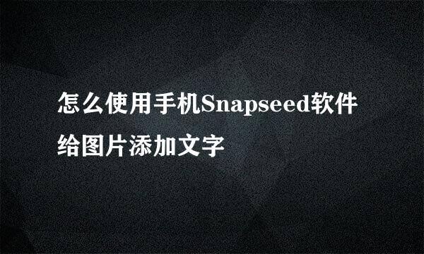 怎么使用手机Snapseed软件给图片添加文字