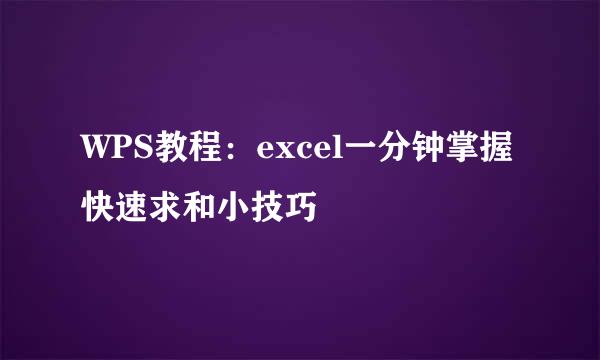 WPS教程:excel一分钟掌握快速求和小技巧
