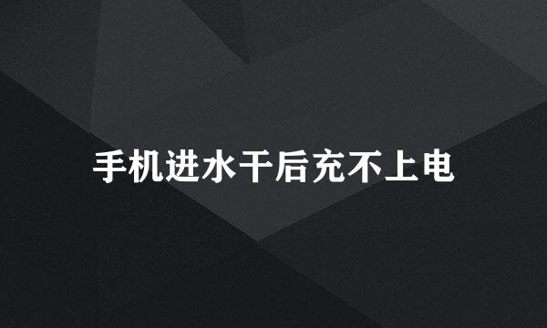 手机进水干后充不上电