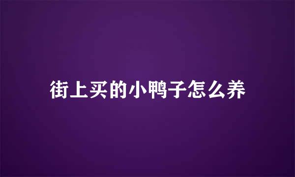 街上买的小鸭子怎么养