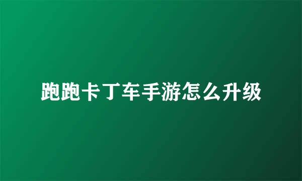 跑跑卡丁车手游怎么升级