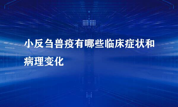 小反刍兽疫有哪些临床症状和病理变化
