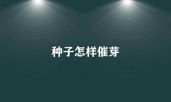 种子怎样催芽
