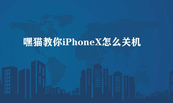 嘿猫教你iPhoneX怎么关机