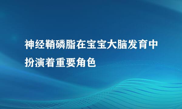 神经鞘磷脂在宝宝大脑发育中扮演着重要角色