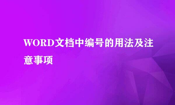 WORD文档中编号的用法及注意事项