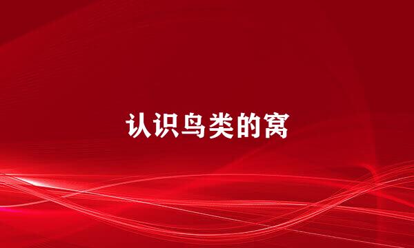 认识鸟类的窝