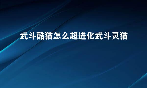 武斗酷猫怎么超进化武斗灵猫